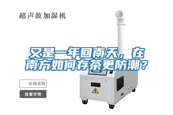 又是一年回南天，在南方如何存茶更防潮？