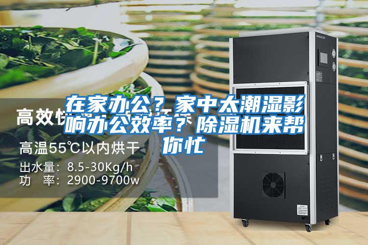 在家辦公？家中太潮濕影響辦公效率？除濕機來幫你忙
