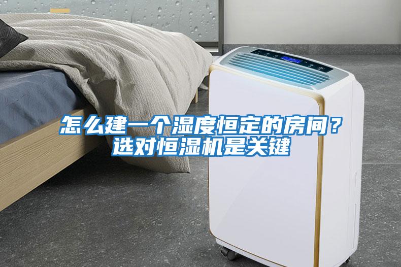 怎么建一個濕度恒定的房間？選對恒濕機是關鍵