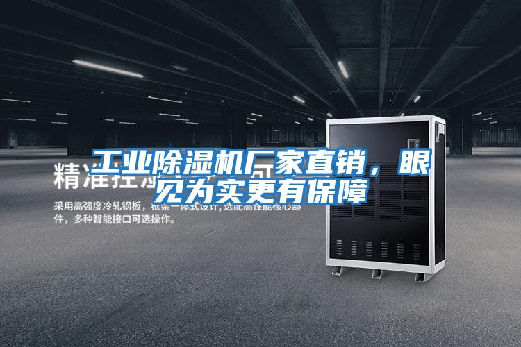 工業(yè)除濕機廠家直銷,眼見為實更有保障