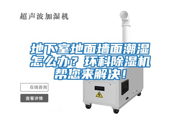 地下室地面墻面潮濕怎么辦?環(huán)科除濕機幫您來解決!