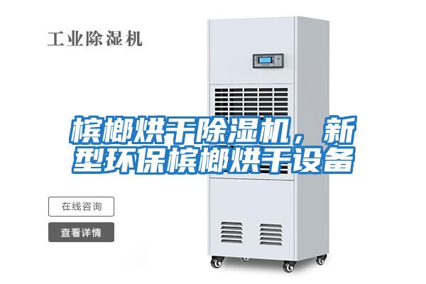 檳榔烘干除濕機，新型環保檳榔烘干設備