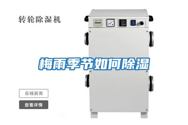 梅雨季節如何除濕