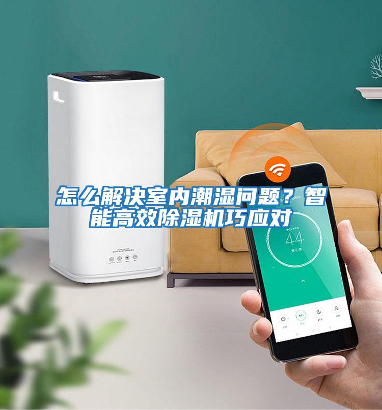 怎么解決室內潮濕問題？智能高效除濕機巧應對