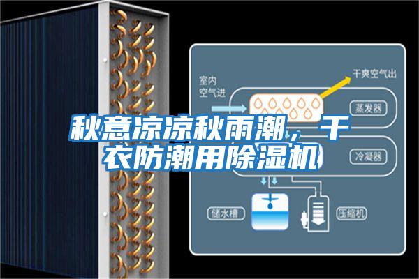 秋意涼涼秋雨潮,干衣防潮用除濕機