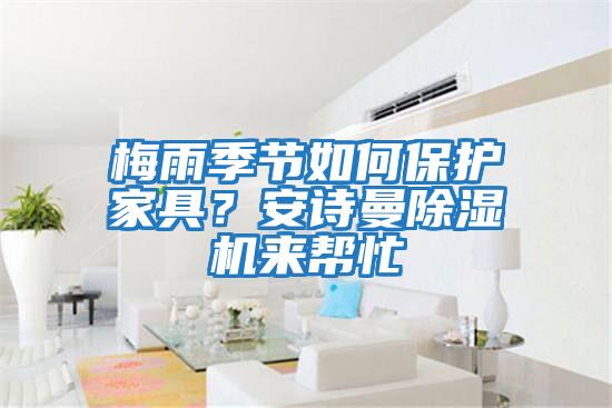 梅雨季節(jié)如何保護(hù)家具？安詩曼除濕機(jī)來幫忙