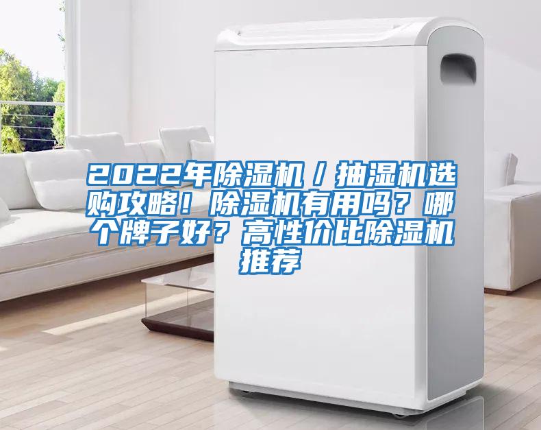2022年除濕機／抽濕機選購攻略！除濕機有用嗎？哪個牌子好？高性價比除濕機推薦