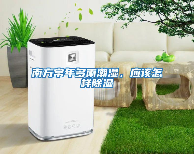 南方常年多雨潮濕，應該怎樣除濕