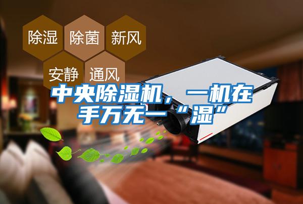 中央除濕機(jī)，一機(jī)在手萬(wàn)無(wú)一“濕”