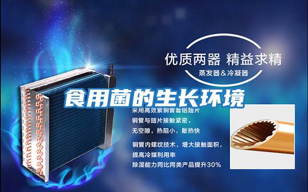 食用菌的生長環境