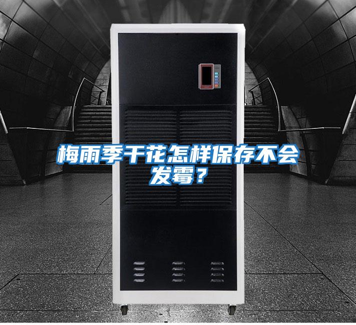 梅雨季干花怎樣保存不會發霉?