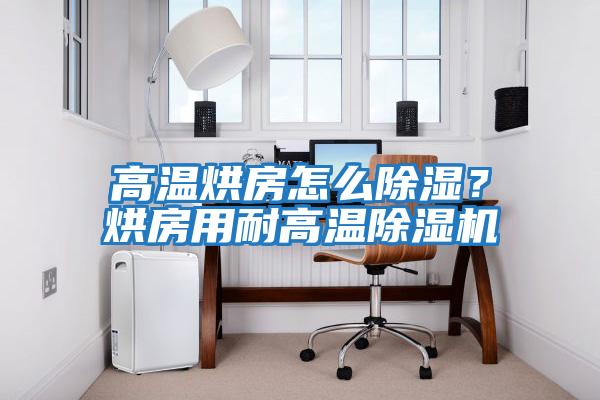 高溫烘房怎么除濕?烘房用耐高溫除濕機(jī)