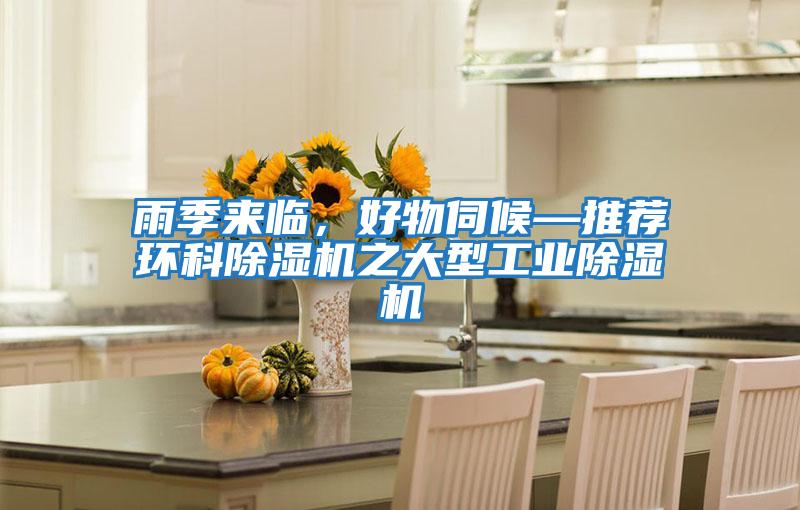雨季來臨，好物伺候—推薦環科除濕機之大型工業除濕機