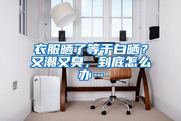 衣服曬了等于白曬？又潮又臭，到底怎么辦…