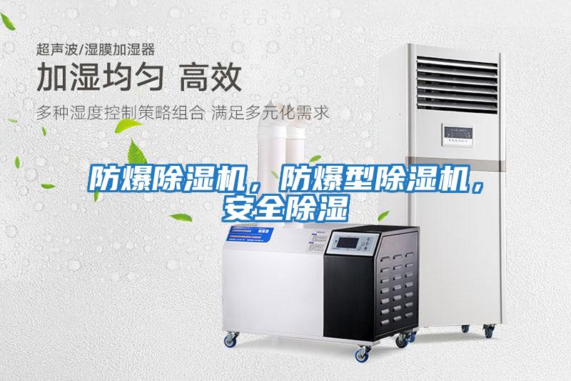 防爆除濕機(jī)，防爆型除濕機(jī)，安全除濕