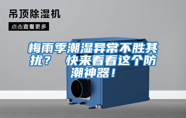 梅雨季潮濕異常不勝其擾？ 快來(lái)看看這個(gè)防潮神器！