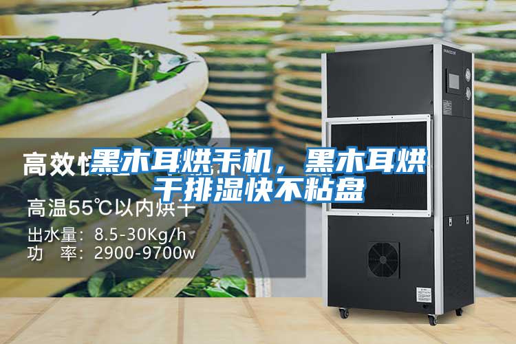 黑木耳烘干機，黑木耳烘干排濕快不粘盤