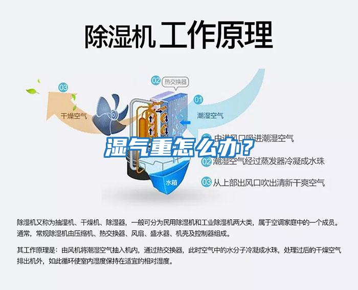 濕氣重怎么辦？