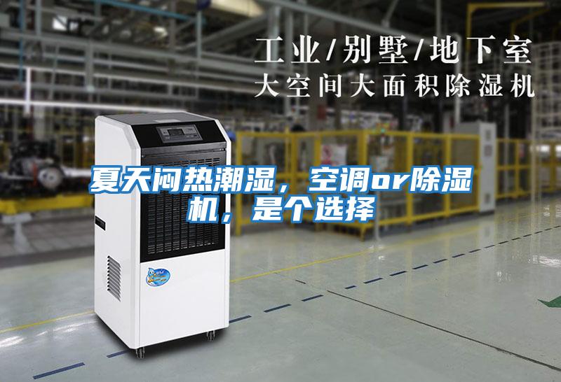 夏天悶熱潮濕，空調or除濕機，是個選擇