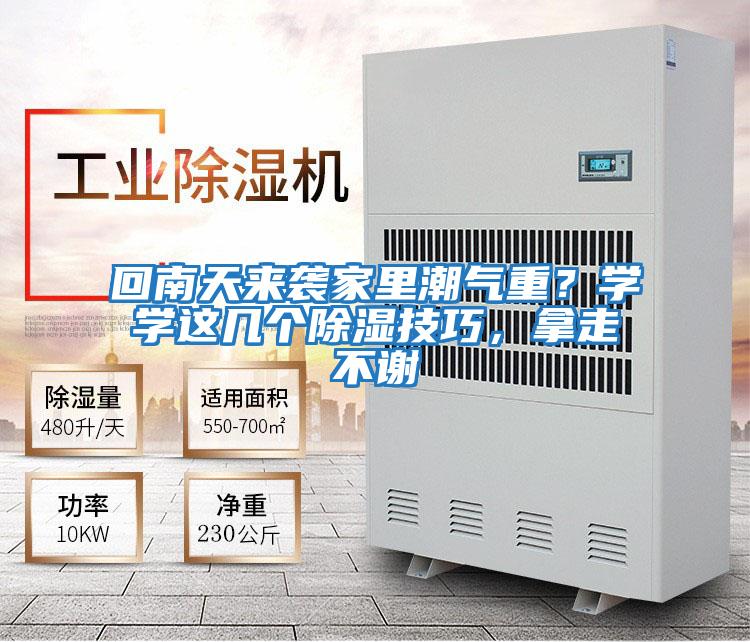 回南天來襲家里潮氣重？學學這幾個除濕技巧，拿走不謝