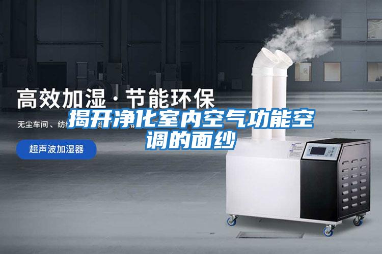 揭開(kāi)凈化室內(nèi)空氣功能空調(diào)的面紗