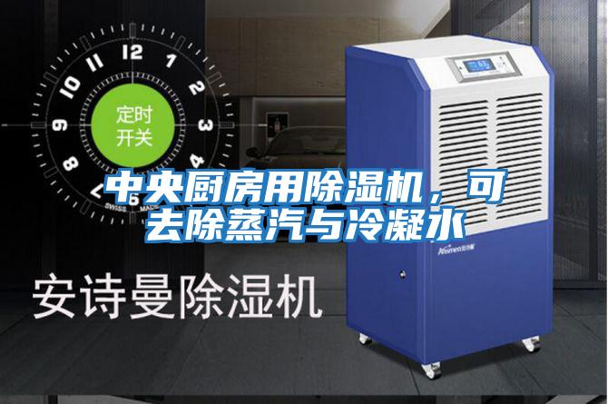 中央廚房用除濕機，可去除蒸汽與冷凝水