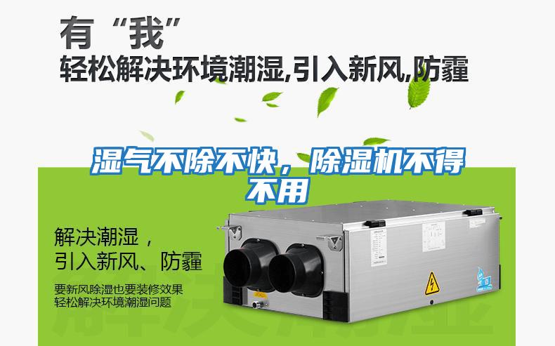 濕氣不除不快，除濕機(jī)不得不用