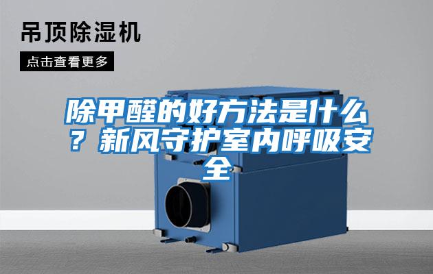 除甲醛的好方法是什么？新風守護室內呼吸安全