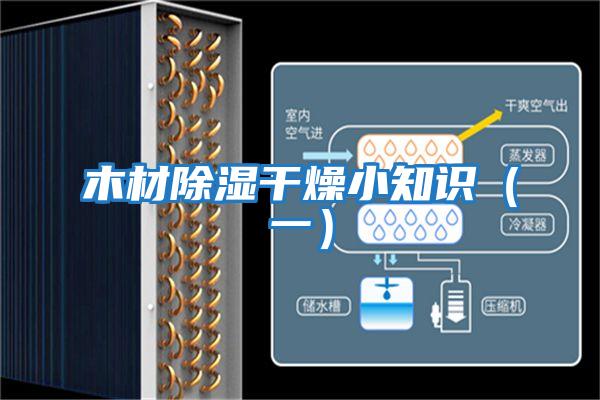 木材除濕干燥小知識(一)
