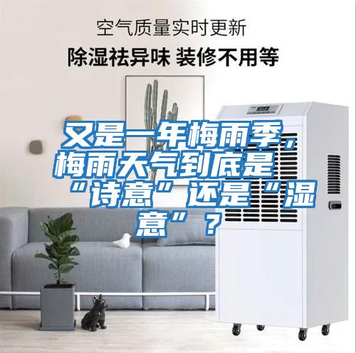 又是一年梅雨季，梅雨天氣到底是“詩(shī)意”還是“濕意”？