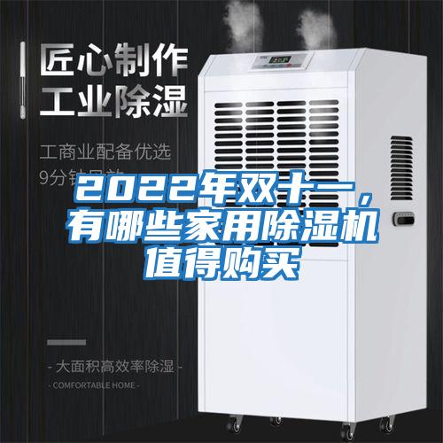 2022年雙十一，有哪些家用除濕機值得購買