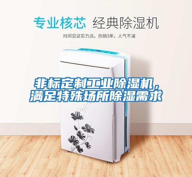 非標(biāo)定制工業(yè)除濕機，滿足特殊場所除濕需求