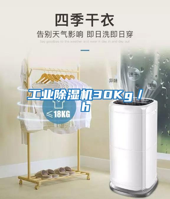 工業除濕機30Kg/h