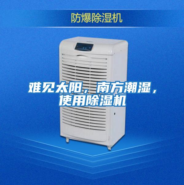難見太陽，南方潮濕，使用除濕機