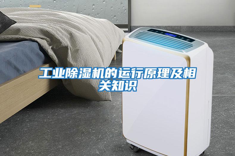 工業(yè)除濕機的運行原理及相關知識