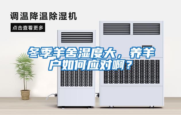 冬季羊舍濕度大，養(yǎng)羊戶如何應(yīng)對(duì)啊？
