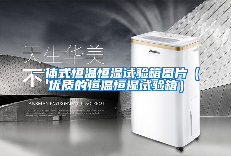 一體式恒溫恒濕試驗箱圖片（優質的恒溫恒濕試驗箱）