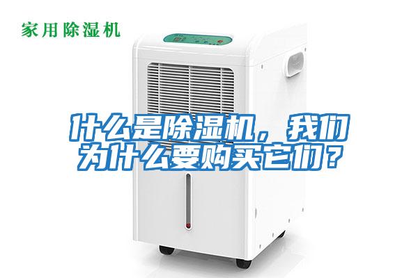 什么是除濕機，我們為什么要購買它們？