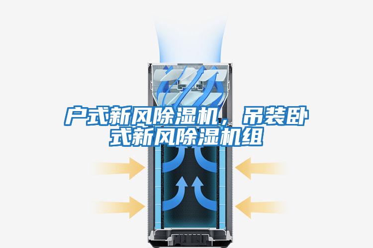 戶式新風除濕機，吊裝臥式新風除濕機組