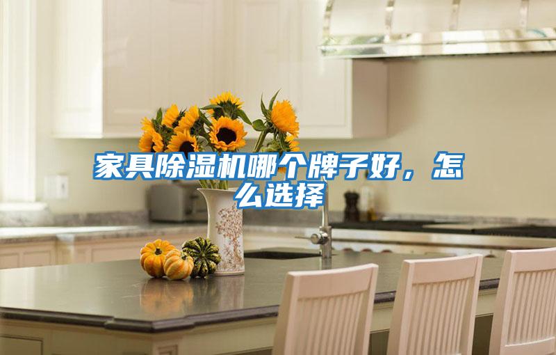 家具除濕機哪個牌子好，怎么選擇
