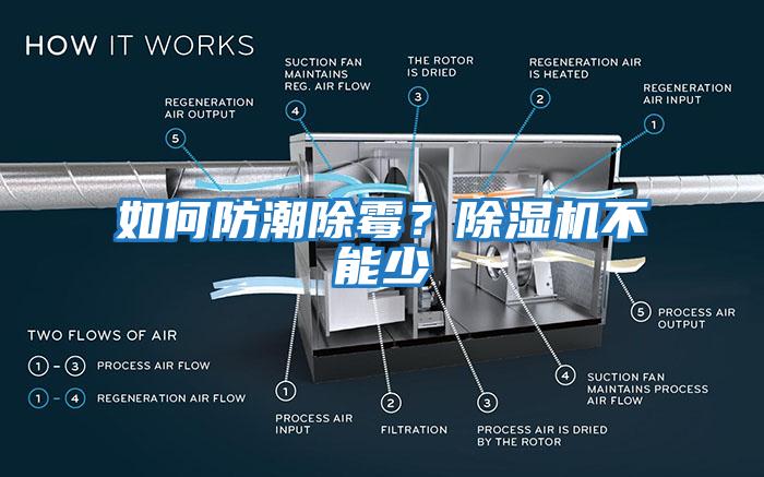 如何防潮除霉？除濕機(jī)不能少