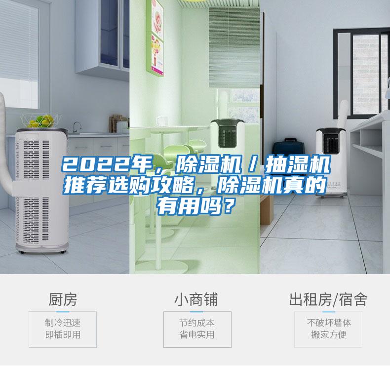 2022年，除濕機／抽濕機推薦選購攻略，除濕機真的有用嗎？