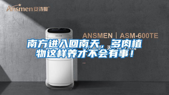 南方進入回南天，多肉植物這樣養才不會有事！