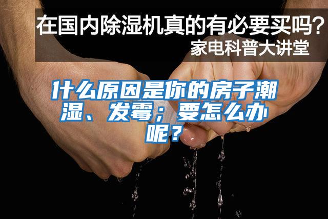 什么原因是你的房子潮濕、發(fā)霉；要怎么辦呢？