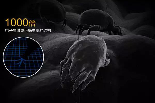 螨蟲高發季，家用除濕機除螨有妙計！_重復