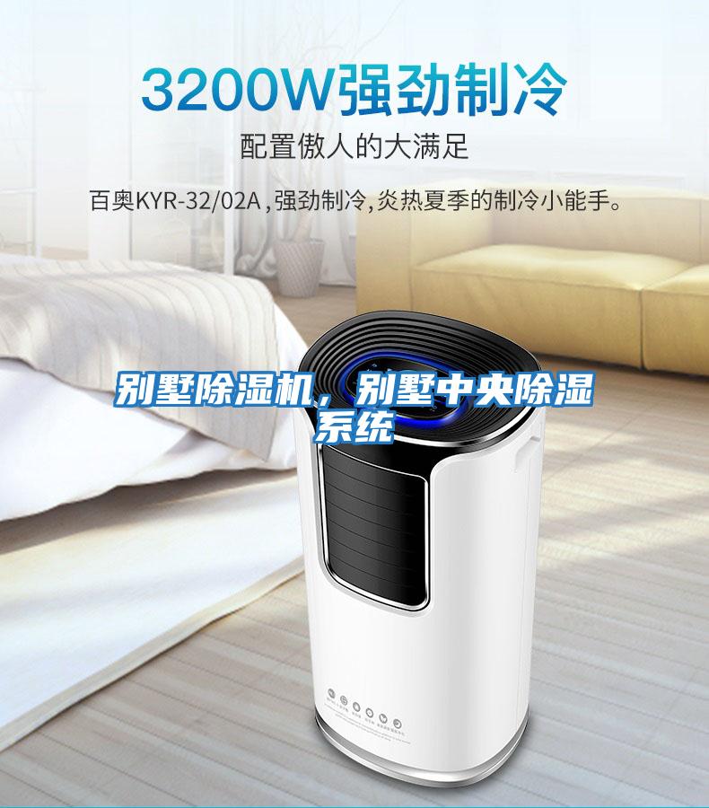 別墅除濕機(jī),別墅中央除濕系統(tǒng)