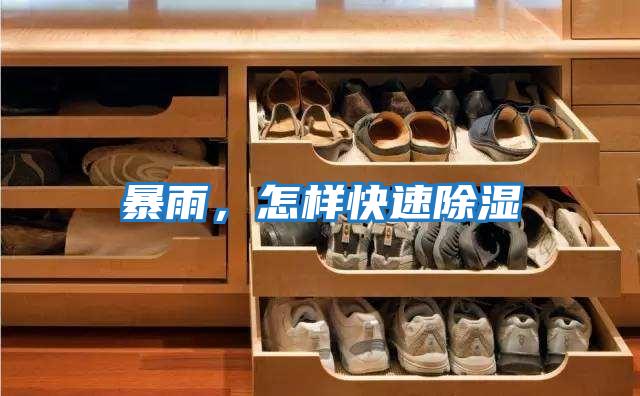 暴雨，怎樣快速除濕