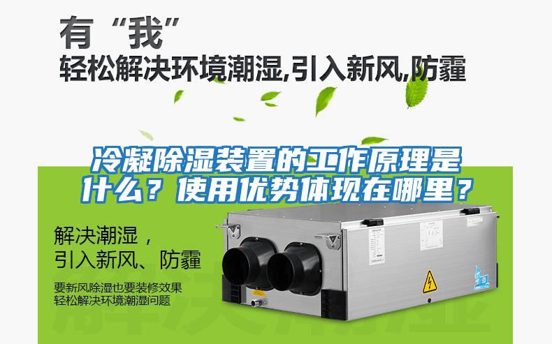 冷凝除濕裝置的工作原理是什么？使用優勢體現在哪里？