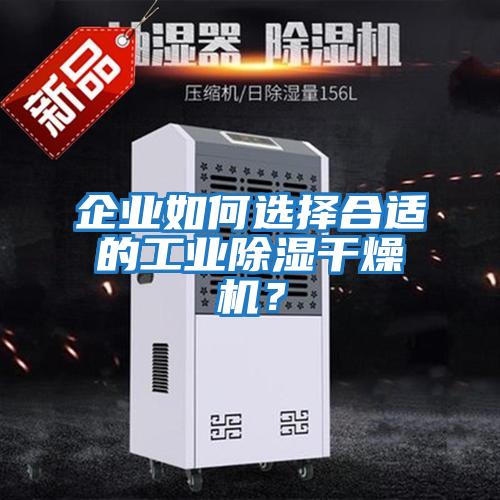 企業如何選擇合適的工業除濕干燥機？