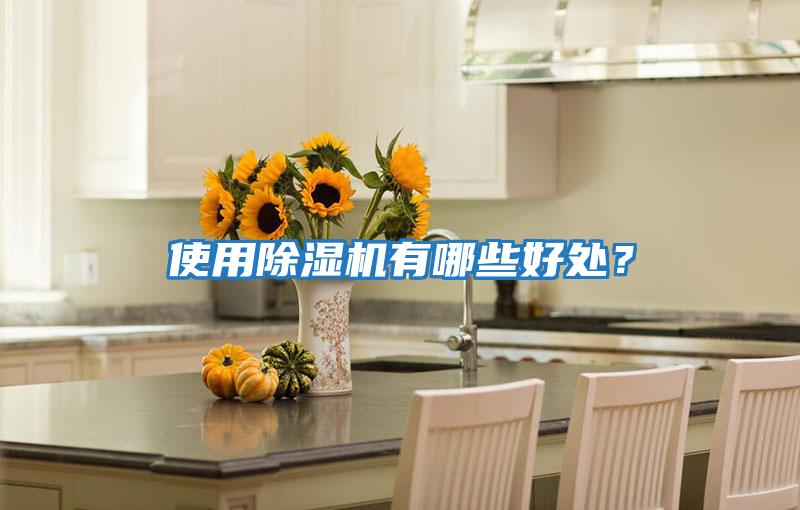 使用除濕機有哪些好處？